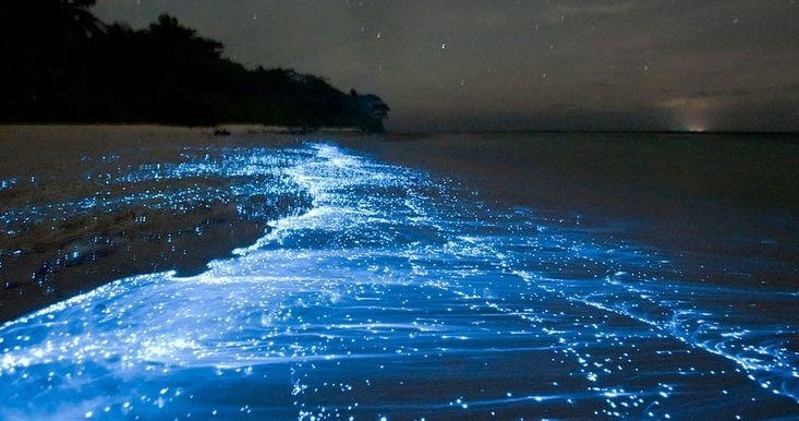 Holbox at Night: Unveiling the Island's Nocturnal Magic
