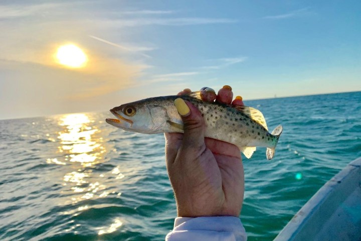 a person holding a fish in the water