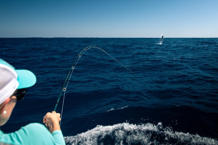 Person fishing on a boat, rod bent, fish jumping out of the ocean.
