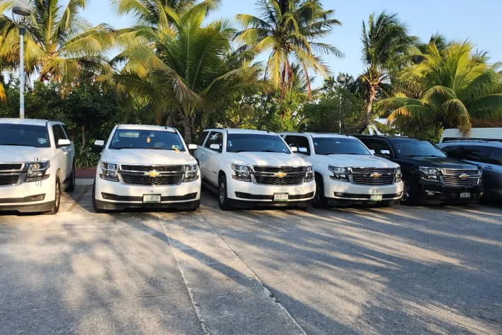 Row of parked SUVs under palm trees in a sunny parking lot.